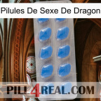 Dragon Sex Pills 22